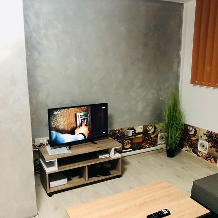 Central Park - Big Apartment - 3 Rooms - Free Parking T5 ทิมิชัวรา ภายนอก รูปภาพ