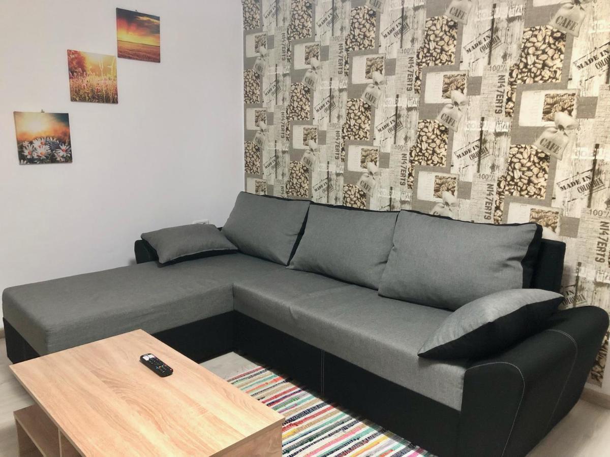 Central Park - Big Apartment - 3 Rooms - Free Parking T5 ทิมิชัวรา ภายนอก รูปภาพ