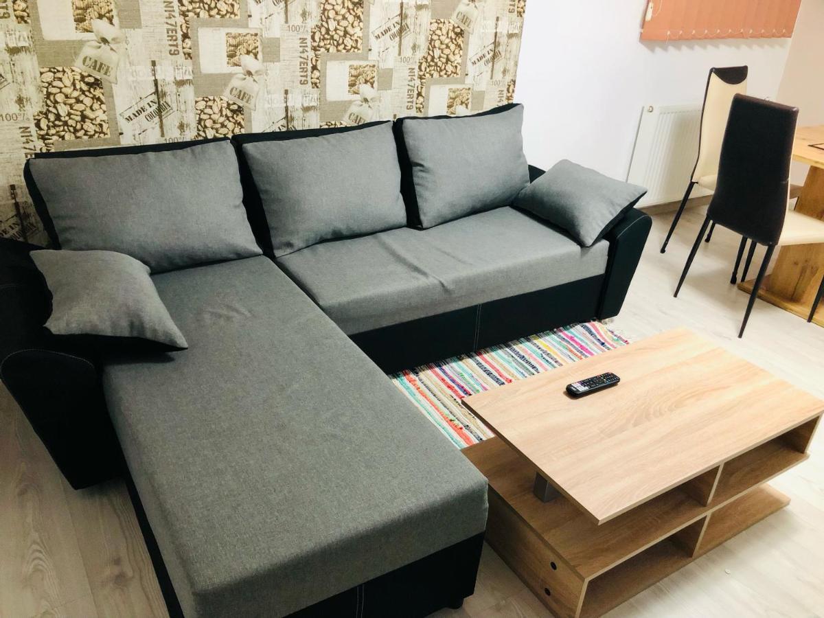 Central Park - Big Apartment - 3 Rooms - Free Parking T5 ทิมิชัวรา ภายนอก รูปภาพ