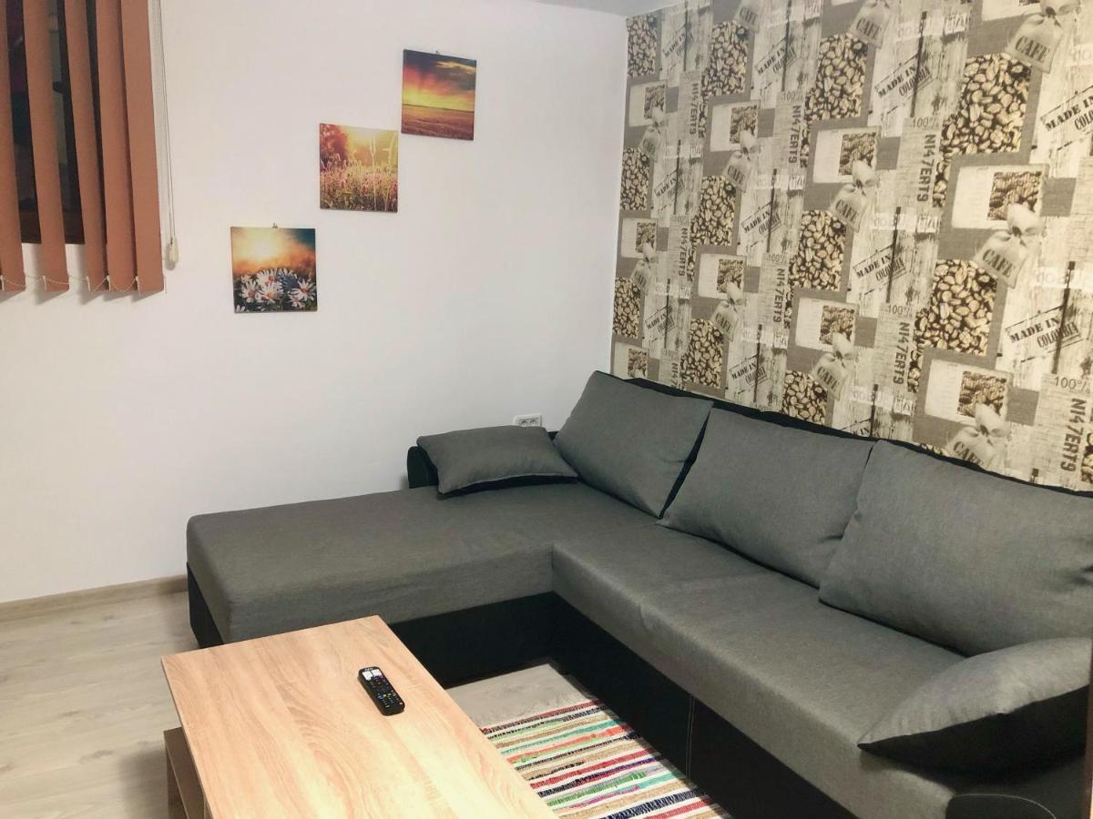 Central Park - Big Apartment - 3 Rooms - Free Parking T5 ทิมิชัวรา ภายนอก รูปภาพ